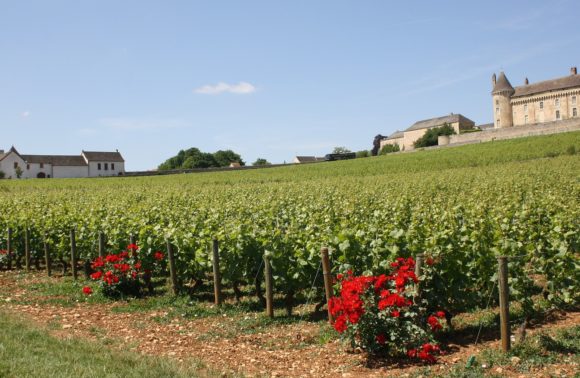 Bourgogne Généreuse