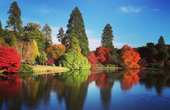 Au cœur des jardins Anglais