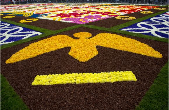 Un tapis de fleurs envahit Bruxelles