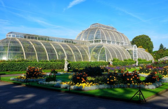 ANGLETERRE - KEW GARDEN