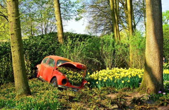 La Fête des Jonquilles