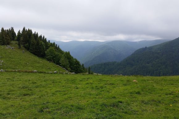 Vosges