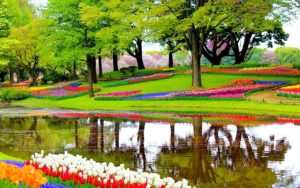 Keukenhof hollande parc