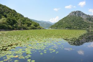 lac de Skadar