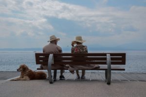 Promenade chien