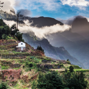 Discover Madeira: Your customers' next destination