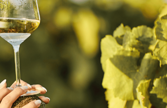 Comment déguster du vin de Bordeaux comme un pro ?