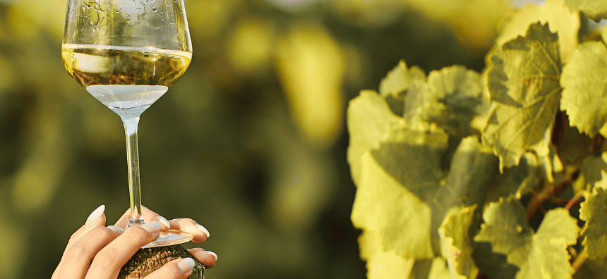 Comment déguster du vin de Bordeaux comme un pro ?