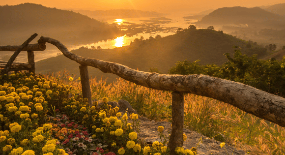 Pourquoi choisir Your Travel Experience ?