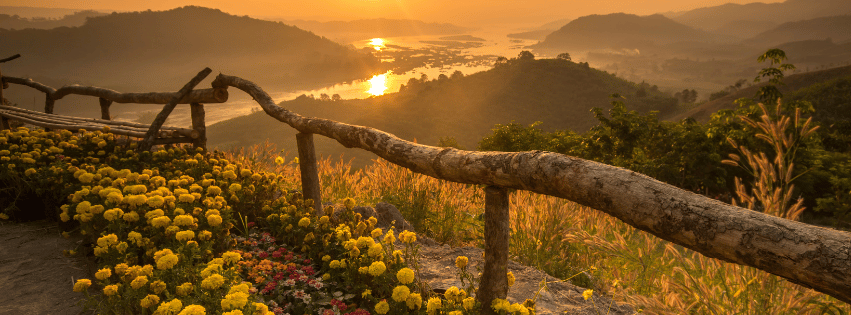 Pourquoi choisir Your Travel Experience ?